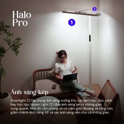 Kyvian Đèn Sàn Làm Việc Bảo Vệ Mắt Halo Pro 60W 3986 Lumen CRI 98 Đèn Cây Đứng 2 Vùng Ánh Sáng Độc Lập by Velix 5