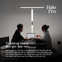 Kyvian Đèn Sàn Làm Việc Bảo Vệ Mắt Halo Pro 60W 3986 Lumen CRI 98 Đèn Cây Đứng 2 Vùng Ánh Sáng Độc Lập by Velix 8