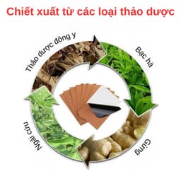 [HÀNG LOẠI 1] Combo 6 túi 300 miếng dán nóng ngải cứu giảm đau nhức cơ thể, vai gáy, đau cơ 4