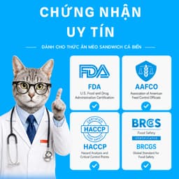 Hạt cho mèo MRVET SANDWICH - hạt có 3 Nhân Gói 1KG Không Ngũ Cốc, Giàu Protein 7