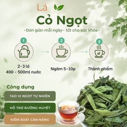 Cây Cỏ Ngọt Loại 1  (Khô, Sạch, Thơm) – Hỗ Trợ Tiểu Đường, Giảm Đường, Giải Nhiệt, Lợi Tiểu 6