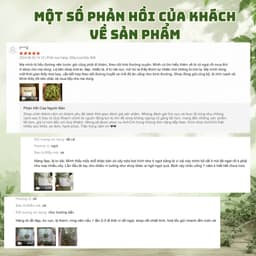 Cây Cỏ Ngọt Loại 1  (Khô, Sạch, Thơm) – Hỗ Trợ Tiểu Đường, Giảm Đường, Giải Nhiệt, Lợi Tiểu 9