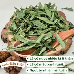 Cây Cỏ Ngọt Loại 1  (Khô, Sạch, Thơm) – Hỗ Trợ Tiểu Đường, Giảm Đường, Giải Nhiệt, Lợi Tiểu 5