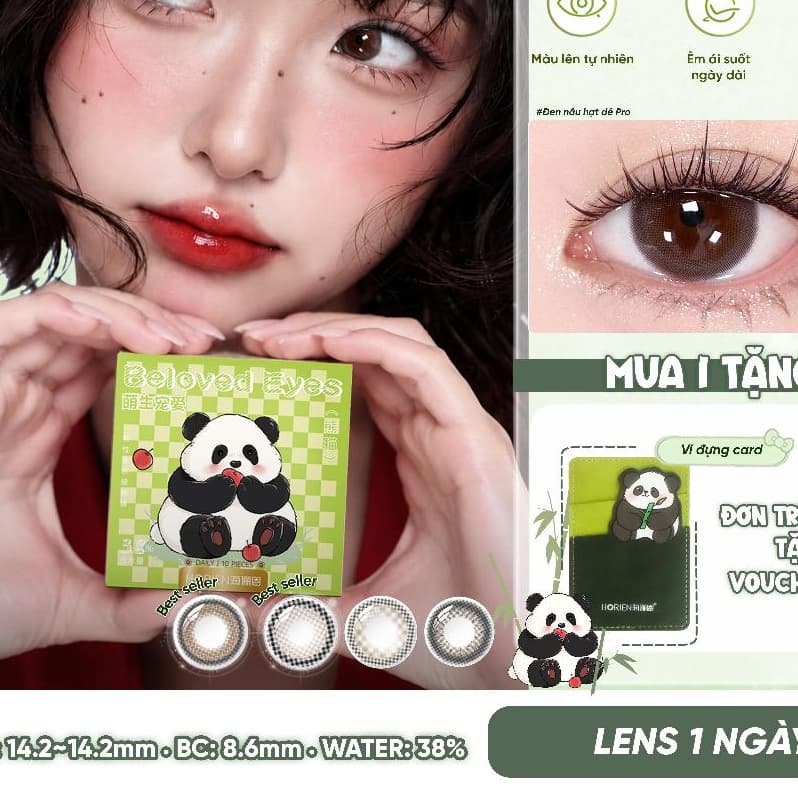 Kính Áp Tròng Màu HORIEN Beloved Eyes 1 Ngày 10 Chiếc – Lens Nâu Hạt Dẻ, Xám Mây Bông, Nâu Đậu Vàng, DIA 14.2mm, BC 8.6m