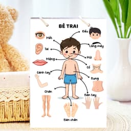 Thẻ Flash EVON BABY dạy bé tập nói - Giúp Bé Học Nói & Nhận Biết Bộ Phận Cơ Thể - Các Giác Quan 2