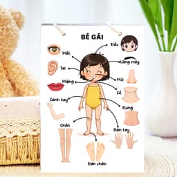 Thẻ Flash EVON BABY dạy bé tập nói - Giúp Bé Học Nói & Nhận Biết Bộ Phận Cơ Thể - Các Giác Quan 4