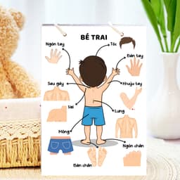 Thẻ Flash EVON BABY dạy bé tập nói - Giúp Bé Học Nói & Nhận Biết Bộ Phận Cơ Thể - Các Giác Quan 3
