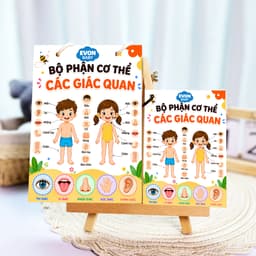 Thẻ Flash EVON BABY dạy bé tập nói - Giúp Bé Học Nói & Nhận Biết Bộ Phận Cơ Thể - Các Giác Quan 7