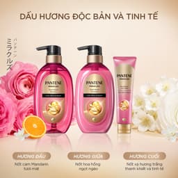 [LIVE] Combo Dầu Gội + Xả Phục Hồi Cho Tóc Nhuộm PANTENE Color Shine & Repair 415ML 5