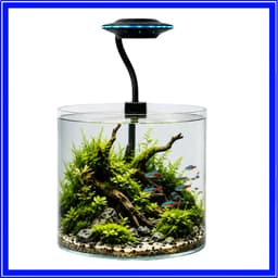 Đèn Kẹp UFO Mini Led Viền QL-V5C QuanLong, Cổng USB Điều Chỉnh 360 Độ, Công Suất 5W Cho Bể Mini 4