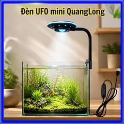 Đèn Kẹp UFO Mini Led Viền QL-V5C QuanLong, Cổng USB Điều Chỉnh 360 Độ, Công Suất 5W Cho Bể Mini 2