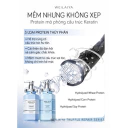 (Công ty) Dầu gội xả Weilaiya TÍM PHỒNG TÓC KIỀM DẦU Phục Hồi Đa Tầng Nấm Truffle 450ml 6