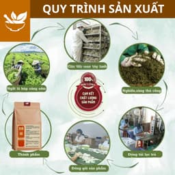 Trà Tiêu Thực (Tiêu mỡ) - Trà Lá Nam Detox thải mỡ bụng, đùi giúp nhẹ người, điều chỉnh cân nặng. 4