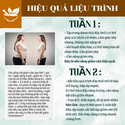 Trà Tiêu Thực (Tiêu mỡ) - Trà Lá Nam Detox thải mỡ bụng, đùi giúp nhẹ người, điều chỉnh cân nặng. 6