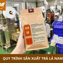 [ Túi zip ] Trà Lá Nam - Detox thải mỡ bụng, đùi giúp nhẹ người, điều chỉnh cân nặng. 60 túi lọc 7