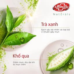 Sữa Tắm Lifebuoy Matcha Khổ Qua 100g – Sữa Tắm Hương Trà Xanh Tươi Mát 4