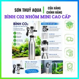 Vỏ Nhôm cao cấp C02 Thủy Sinh | B.ình Chứa c O2 Thủy Sinh Kèm Van | Vỏ Nhôm Rỗng Đài Loan O.21l - 0.25L 1