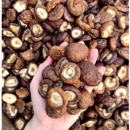 Nấm Hương Khô Loại 1 Tai To Dày, Thơm  Ngon, Đóng Gói 250G | 500G | 1KG dacsanvietgiasi 3