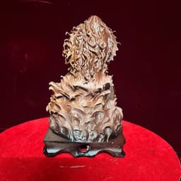 Tượng nghệ thuật Người cá . in 3D . cao 17 cm 4