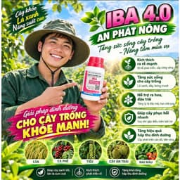 IBA SIÊU KÍCH RỄ CHAI 100ML - SẢN PHẨM ĐIỀU HÒA SINH TRƯỞNG CÂY (CÂN BẰNG DINH DƯỠNG, TĂNG CƯỜNG HỆ RỄ, GIẢM STRESS) 1