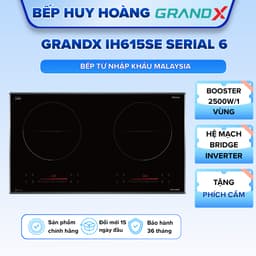 Bếp từ GRANDX IH615SE 1