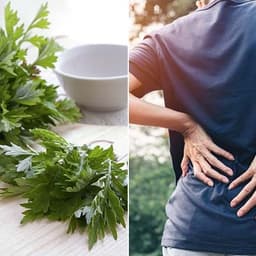 [HÀNG LOẠI 1] Combo 6 túi 300 miếng dán nóng ngải cứu giảm đau nhức cơ thể, vai gáy, đau cơ 7