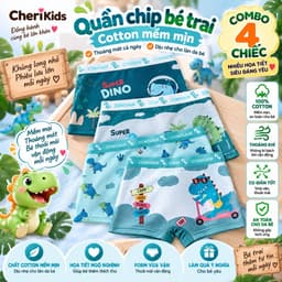 Combo 4 quần chíp đùi dạng lưới họa tiết Khủng Long dễ thương quần lót bé trai thoáng khí chất thun lạnh  Cherikids 1
