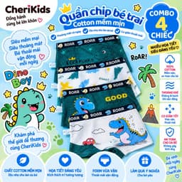 Combo 4 quần sịp đùi dạng lưới họa tiết Khủng Long Roar dễ thương quần lót bé trai thoáng khí chất thun lạnh Cherikids 1