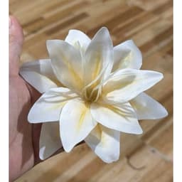 Combo 5 bông hoa LY KÉP trang trí 6