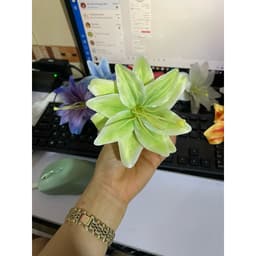 Combo 5 bông hoa LY KÉP trang trí 7