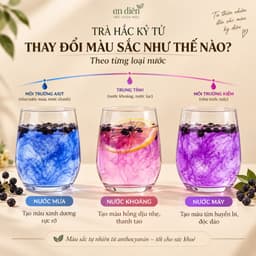 [HÀNG LOẠI 1] Hắc kỷ tử, kỷ tử đen sấy khô nguyên quả, giúp sáng mắt, bổ mắt, đẹp da 2