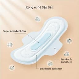 Băng Vệ Sinh Springsmile Ngày & Đêm – Giải Pháp Trọn Vẹn Cho Mọi Thời Điểm Trong Chu Kỳ 3
