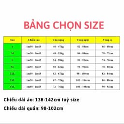Áo dài Hà Vy, dáng chiết eo truyền thống  lụa titan tráng gương cao cấp- Áo Dài Nguyệt An 7