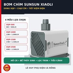 Máy Bơm Chìm Sunsun Xiaoli XQP Cho Hồ Cá – Chạy Êm, Lưu Lượng 370–3500L/H 1