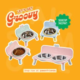 [Có Sẵn] Bộ Bát Ăn Đơn / Đôi Cho Chó Mèo Kèm Đế Nhựa, Bát Inox Đôi Thú Cưng 1