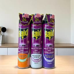 Combo 2 Chai Xịt Côn Trùng Raid 520ml Chính Hãng – Diệt Muỗi, Gián, Kiến Hiệu Quả – 3 Mùi Hương Lựa Chọn 1