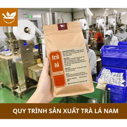 Trà Tiêu Thực (Tiêu mỡ) - Trà Lá Nam Detox thải mỡ bụng, đùi giúp nhẹ người, điều chỉnh cân nặng. 7