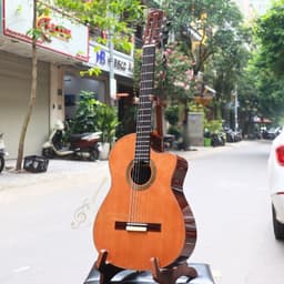 Đàn Guitar Classic Cordoba Orchestra CE Kèm EQ- Bảo hành 2 năm 2