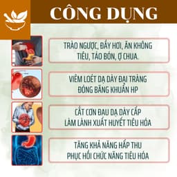 Trà Cây Rau Mương - 5 Vị Thảo Mộc giúp giảm cảm giác ợ hơi, đầy trướng, hỗ trợ tiêu hóa dễ chịu. 7