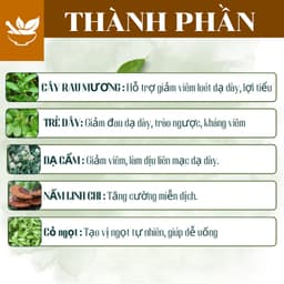 Trà Cây Rau Mương - 5 Vị Thảo Mộc giúp giảm cảm giác ợ hơi, đầy trướng, hỗ trợ tiêu hóa dễ chịu. 2
