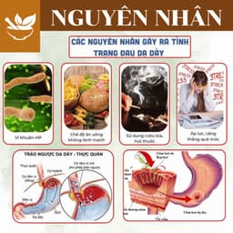 Trà Cây Rau Mương - 5 Vị Thảo Mộc giúp giảm cảm giác ợ hơi, đầy trướng, hỗ trợ tiêu hóa dễ chịu. 6