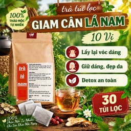 Giam Cân Lá Nam - 10 vị Lấy lại Vòng Eo Con Kiến , Detox an toàn, giữ dáng đẹp da.Hộp 30 gói 1