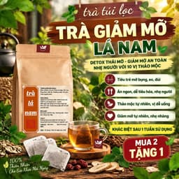 Trà Lá Nam - Hộp 60 Túi Lọc Hỗ Trợ Giảm Cân, Giảm Mỡ, Mát Gan, Tốt Cho Tiêu Hóa Chống Lão Hóa 1