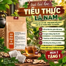 Trà Lá Nam 10 vị - Thanh mát, da sáng đẹp, vị dịu nhẹ dễ uống hộp 30 túi lọc 1