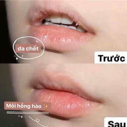 Son Dưỡng Môi Astrid Calendula 4.8g - Cúc Vạn Thọ Chữa Lành, Dưỡng Ẩm 24h, Phù Hợp Môi Nứt Nẻ 8