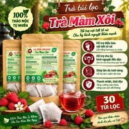 Trà Mâm Xôi  6 Vị - Mâm Xôi, Sâm Tố Nữ, Bầu Đất, Trin.h N.ữ Hoàng Cung, Hoa Nhài, Cỏ Ngọt - Nước trà chè tea 02 1