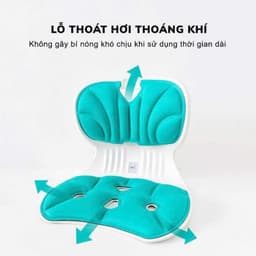 Ghế Công Thái Học Hỗ Trợ Tư Thế – Ghế Ôm Lưng Điều Chỉnh Dáng Ngồi Cho Người Làm Việc Văn Phòng 3