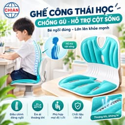 Ghế Công Thái Học Hỗ Trợ Tư Thế – Ghế Ôm Lưng Điều Chỉnh Dáng Ngồi Cho Người Làm Việc Văn Phòng 1