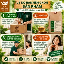 Trà Tiêu Thực Thảo Mộc - Hộp 60 Túi Lọc, Thanh Nhẹ Cơ Thể, Hỗ Trợ Kiểm Soát Vóc Dáng, Nhẹ Bụng Dễ Uống 8