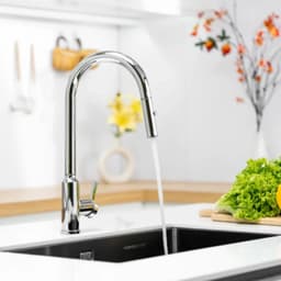 VÒI RỬA BÁT DÂY RÚT NOBINOX IVY NX202 5